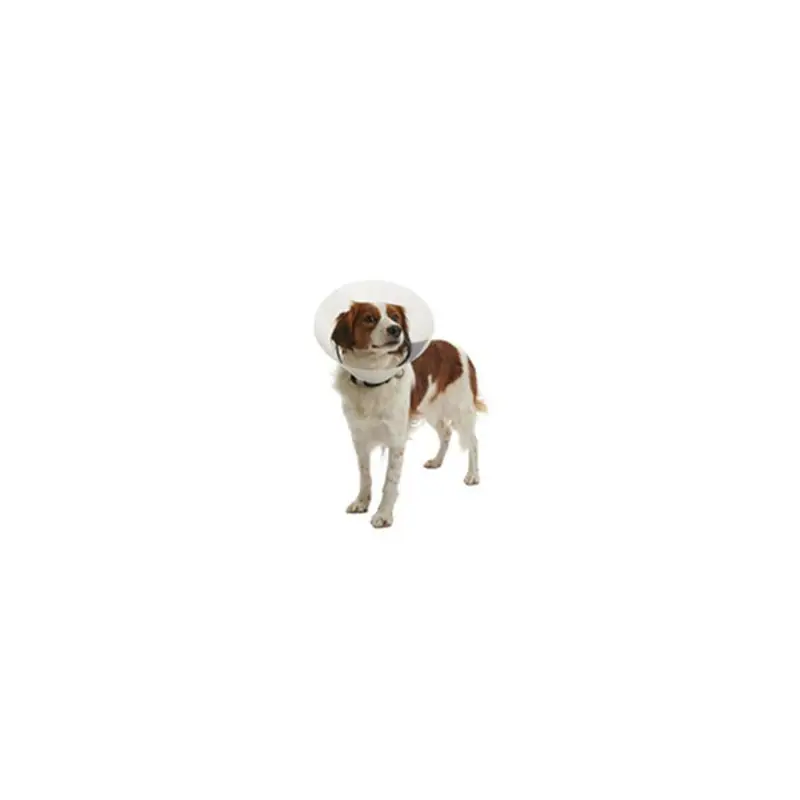 Límec ochranný BUSTER plastový Clic Collar 30cm Pouze Dnes