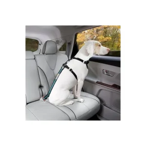 Kurgo® Bezpečnostní pás pro psa do auta Direct to Seatbelt Tether modrý Nejlepší Cena