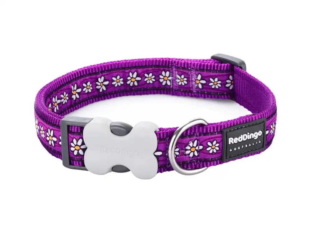 Originální Red Dingo obojek – Daisy Chain Purple – 12 mm x 20-32 cm