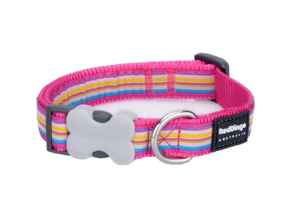 Přímo Od Výrobce Red Dingo obojek – Horizontal Stripes Hot Pink – 12 mm x 20-32 cm