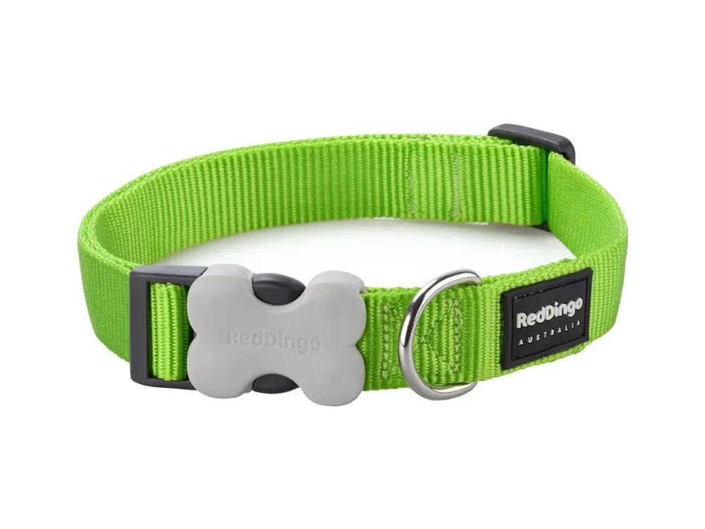 Nízká Cena Red Dingo obojek – Lime – 12 mm x 20-32 cm