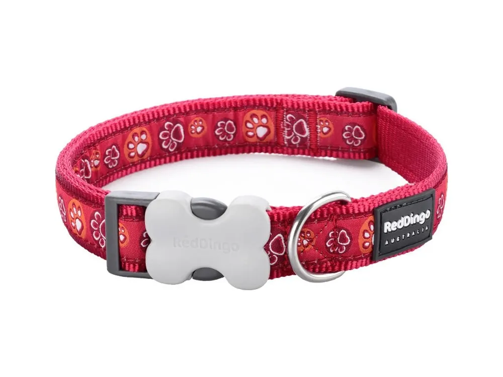 Red Dingo obojek – Paw Impressions Red – 15 mm x 24-36 cm Časově Omezené