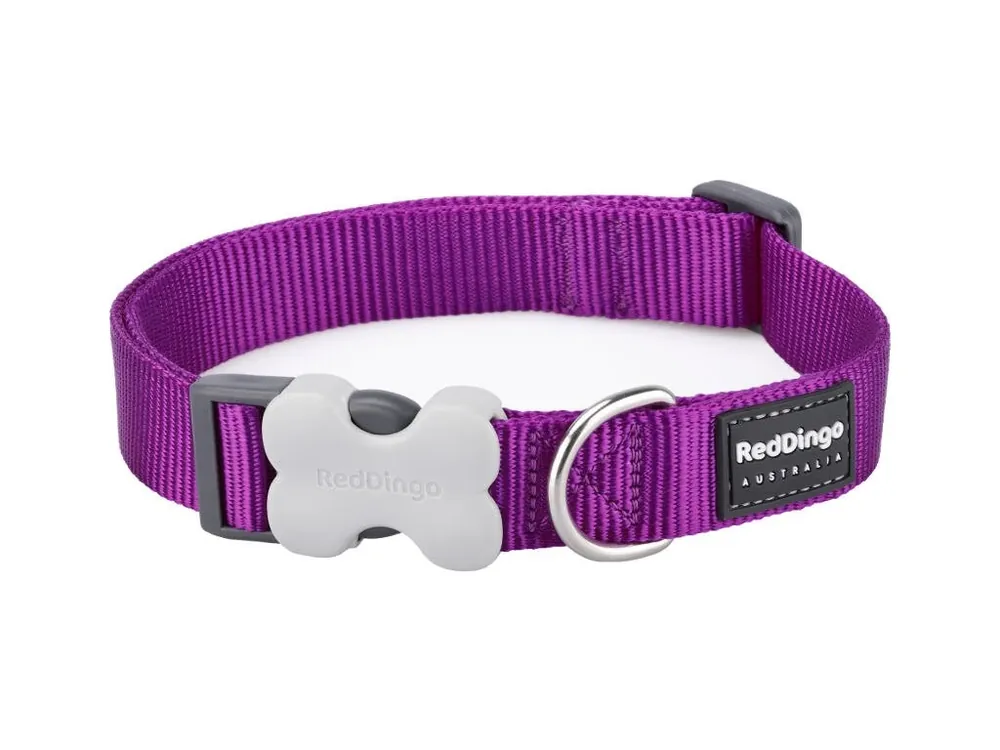 Sezónní Sleva Red Dingo obojek – Purple – 12 mm x 20-32 cm