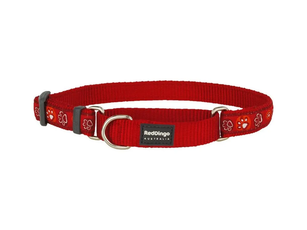 Časově Omezené Red Dingo obojek polostahovací – Paw Impressions Red – 25 mm x 41-62 cm
