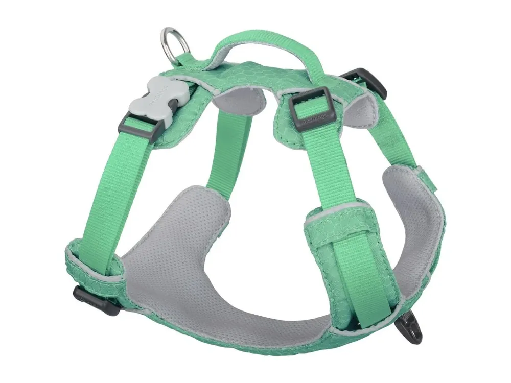 Red Dingo postroj Sport – Pastel Green – 20 mm x 47-64 cm Značkový