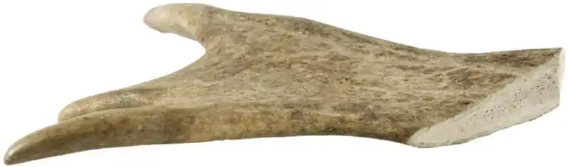 Dančí paroh midi 80-100g Oblíbený